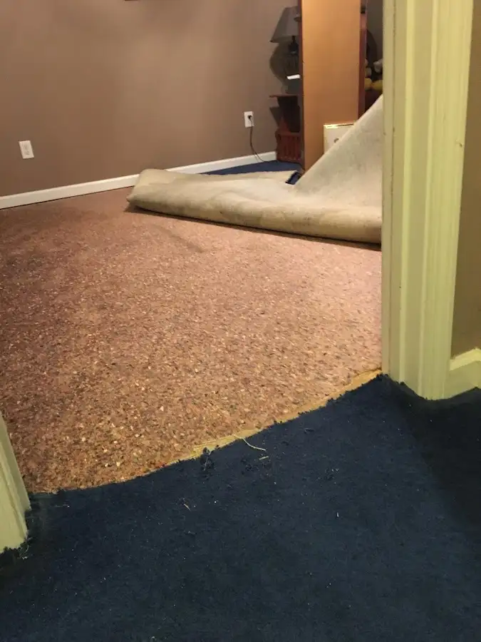 Carpet pad removal revealing water damage during Water Mitigation Services in Powell
