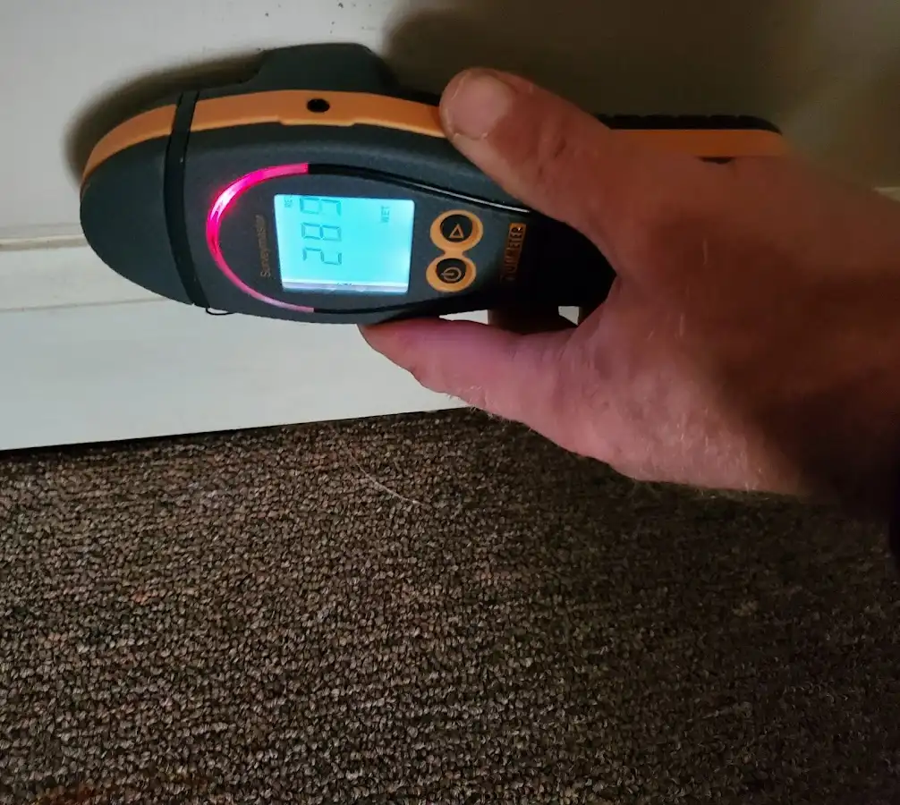 Moisture detection at baseboard during Mold Inspection & Testing in Powell